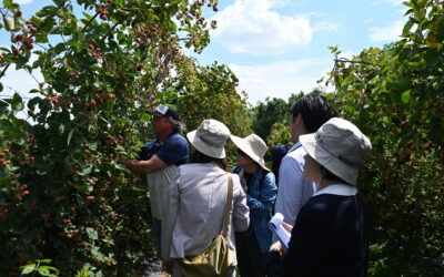 IVLP – Expanding Participation of Underrepresented Groups in Japan’s Agricultural Sector